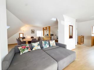 Altstadt Loft Gmunden DG mit Balkon und Seeblick - 5