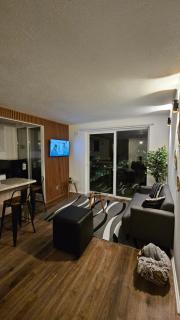 Departamento 2 dormitorios vista al lago - 4