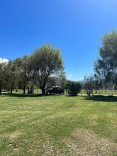 El descanso tiene nombre: Sonko - 6