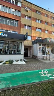 Modern Studio Cetate - 9