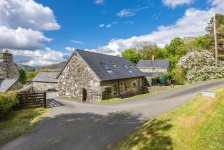Coed-Stable - 4