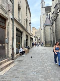 Trop chouette centre Dijon - 8