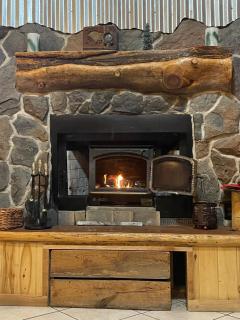 Cabin Among The Pines w Tesla Charger and Game Garage - 3