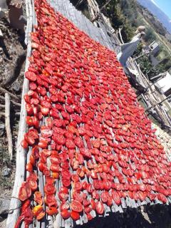 Cabaña El Secadero Mi Campito Cachi Salta - 1