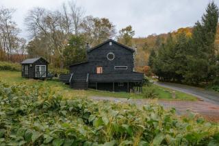 The Black Bear Cottage with tiny house & hot tub - 3
