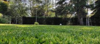 Quinta papa cebolla - 4