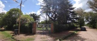 Quinta papa cebolla - 2