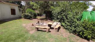 Quinta papa cebolla - 1