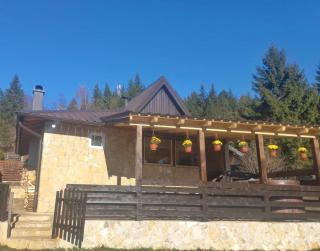 Planinska kuca ANDJELA 2 - 9