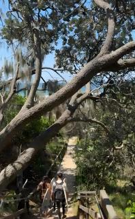 La Mer Sunshine Beachfront - 3