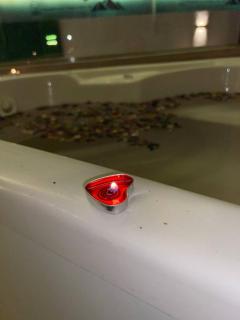 Golden pyramids temple view INN - 9