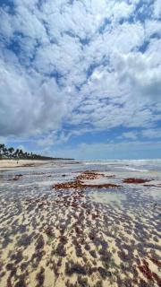 El Gringo Banheiro privativo - 2