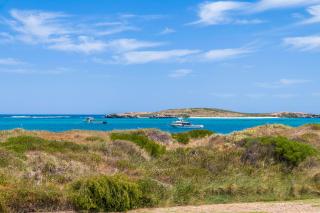 Endless Summer - Perfect Location - 1