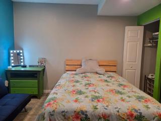 Jungle Oasis By Busch Gardens USF and Amphitheater - Tampa - 7