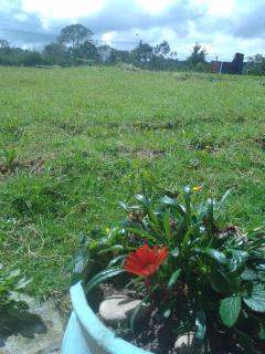 Serene Soul Arroyave - 8