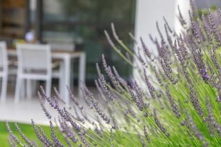 Apartments by the sea nska, Krk - 21692 - Malinska - 1