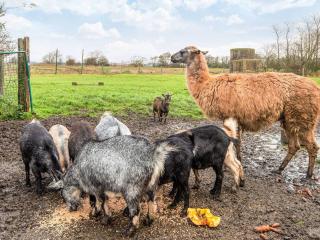 4 person holiday home in Højer - 1