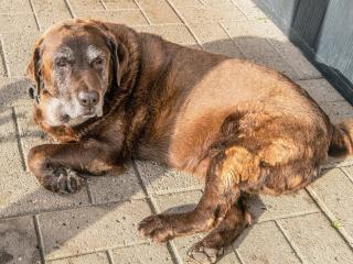 4 person holiday home in Højer - 3