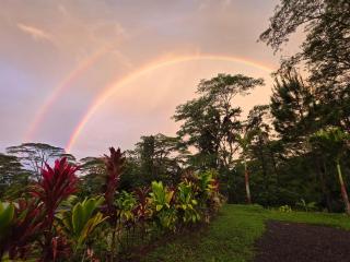 Revatua Lodge Puuru - Piscine privée et Petit-déjeuner inclus - 9