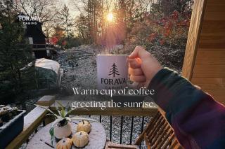 Forava Cabin 2 - Cozy Forest Stay and Sauna - 5