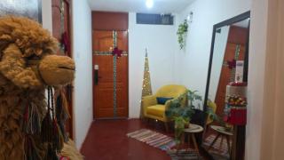 Jorge Chavez Lima Airport Hostel - FREE AIRPORT PICK UP - 5