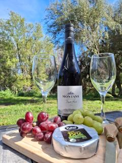 Willows on Wylie - 3