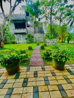 The Pearl Heaven - 5