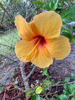 Villa F3, Eden Krys, a cocoon of tranquility - 3