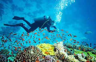 Soluna Cove Cabanas Hikkaduwa - 1