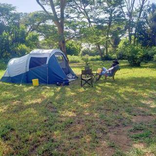 Majimoto Bushpig Camp - 0