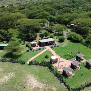 Majimoto Bushpig Camp - 1