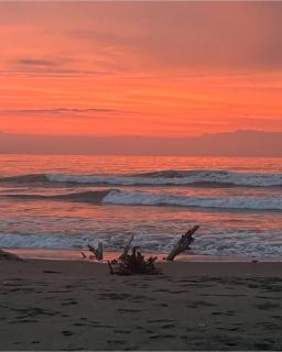 Cabaña privada con piscina y jacuzzi junto al mar - 5