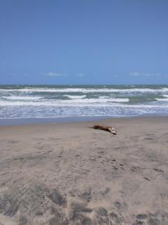 Cabaña privada con piscina y jacuzzi junto al mar - 3