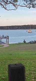 Beachfront Seagulls on Shoalhaven - 7