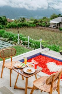 Nadine Villa Kintamani with Natural Hot Spring - 8