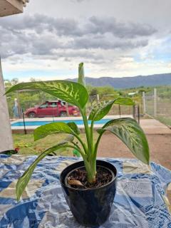 Cabaña la Fride - 2