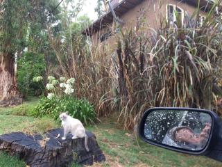 El Nido ! Adobe House, Autosustentable ! - 1