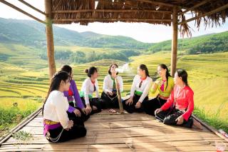 Homestay Cây Thông - 0