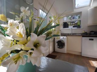 3 Bed in Appledore 78958 - 1