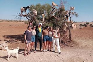 Studio With Pool Marrakesh - 4