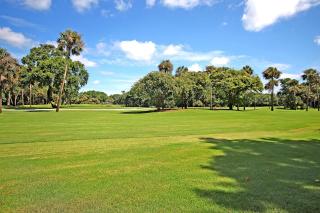 OG02: 2 Ocean Green - 9