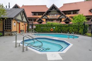Private Hot Tub | Pool | AC | Free Parking - 8
