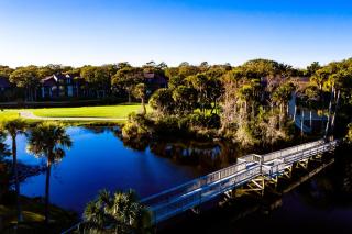 SM08: 8 Silver Moss - 1