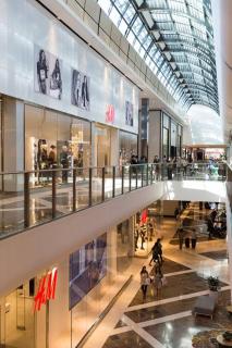 SUNNY STUDY ROOM ATTACHED IN SPACIOUS PRIATE ROOM Eastwood - 9