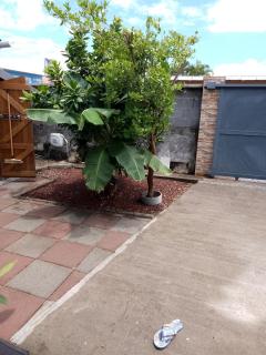 Ti case Les Girofles - 9