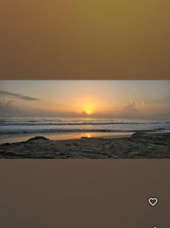 Joswin Beach Homestay - 2