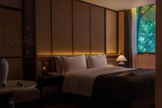 Neyar Tranquil Light and Shadow Aesthetics Hotel, Chongqing - 1