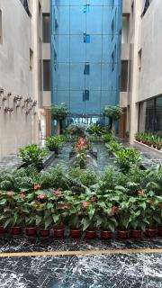 Vienna International Hotel - 6