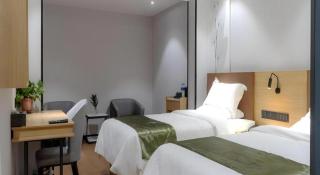 GreenTree Inn Express Datong High-Speed Railway Station Old City Wall - 1