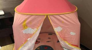 Borrman Hotel Korla Peacock River - 4